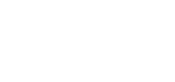 Why Not Tees logo